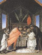 Sandro Botticelli The Last Communion of St jerome (mk36) oil painting picture wholesale